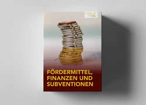 Onlinekurs: Fördermittel, Finanzen & Subventionen für Unternehmer & Selbstständige