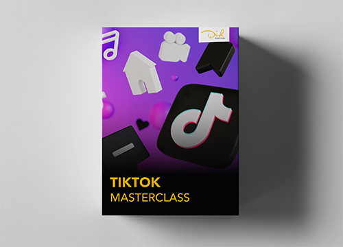 Onlinekurs: TikTok Masterclass